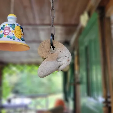 Vakantiehuis Forest Sulimowka - Dom Na Wylacznosc Z Dala Od Sasiadow *