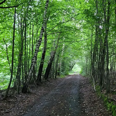 Forest Sulimowka - Dom Na Wylacznosc Z Dala Od Sasiadow *