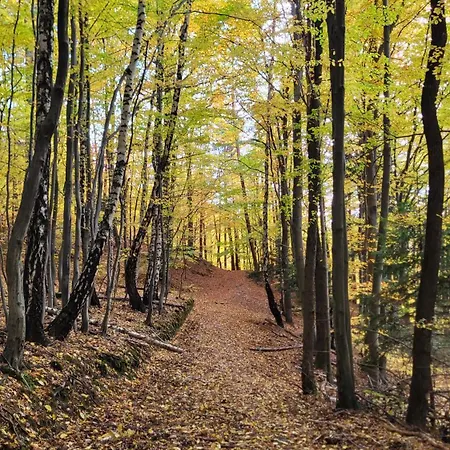 Vakantiehuis Forest Sulimowka - Dom Na Wylacznosc Z Dala Od Sasiadow *