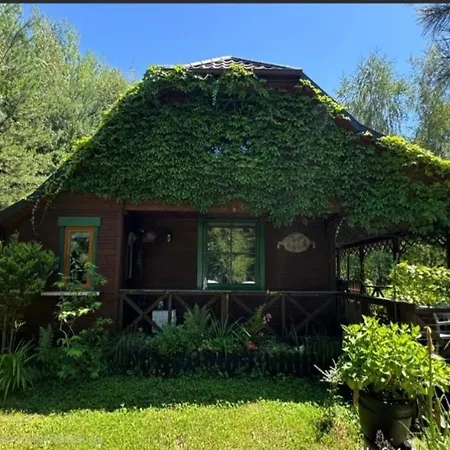 Vakantiehuis Forest Sulimowka - Dom Na Wylacznosc Z Dala Od Sasiadow *